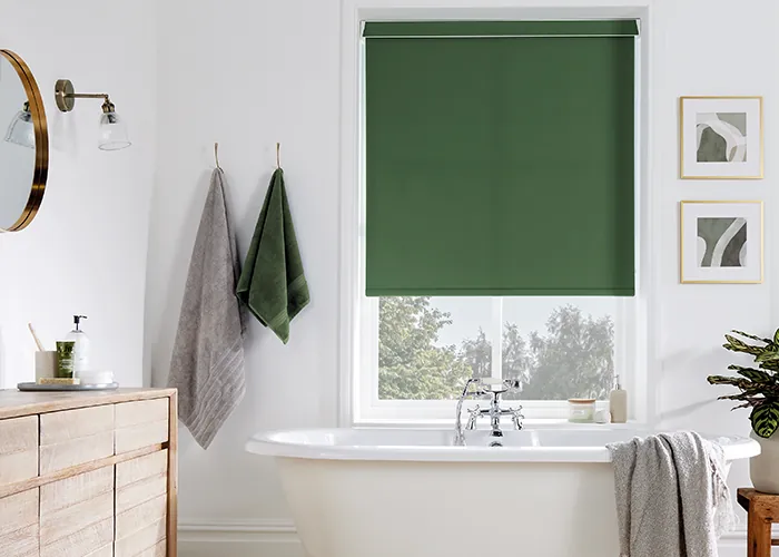 bathroom blinds