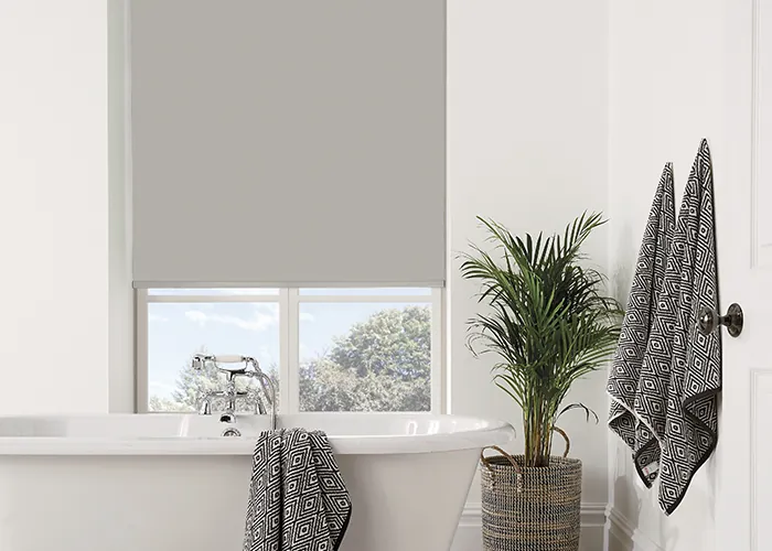 bathroom blinds