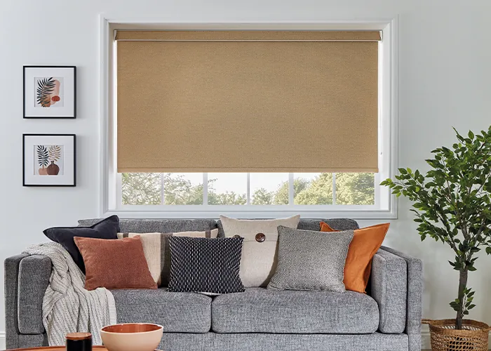 living room blinds