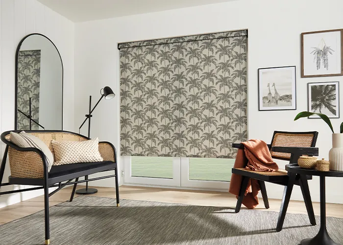 living room blinds