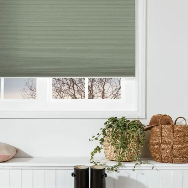inspiration blinds