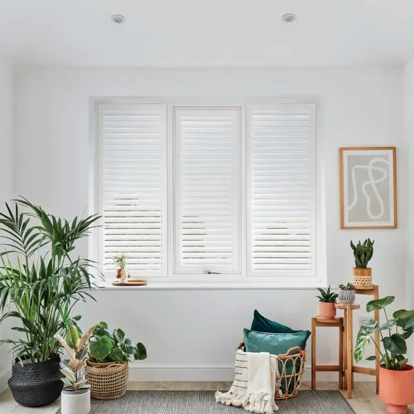 shutter blinds