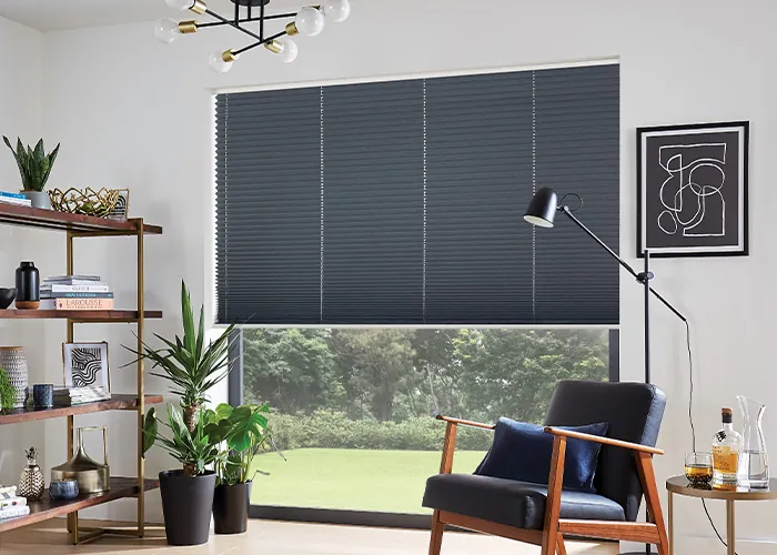 cellular & pleated blinds