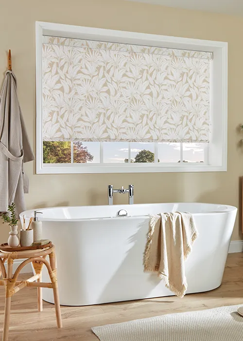 bathroom blinds