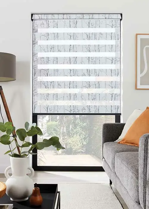 living room blinds