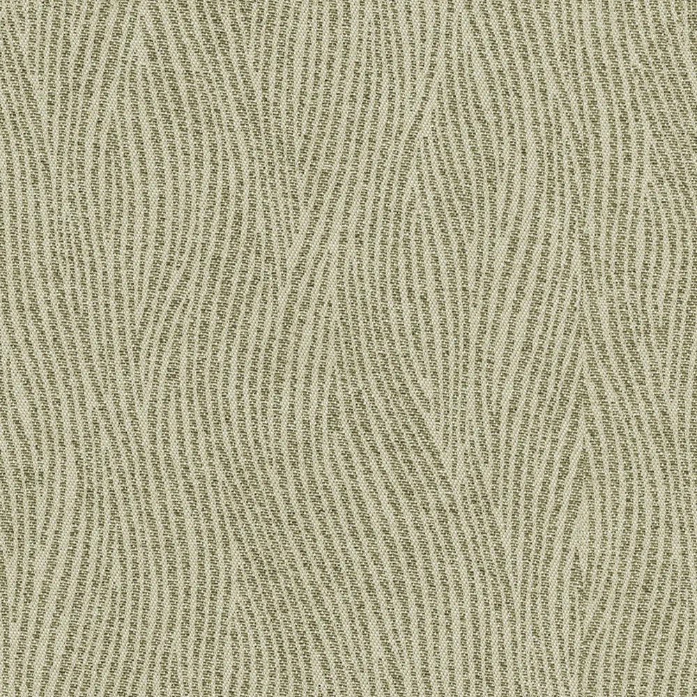 SAVANNA DIMOUT GRASS