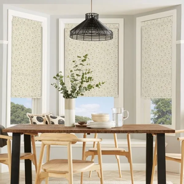 seasonal blinds