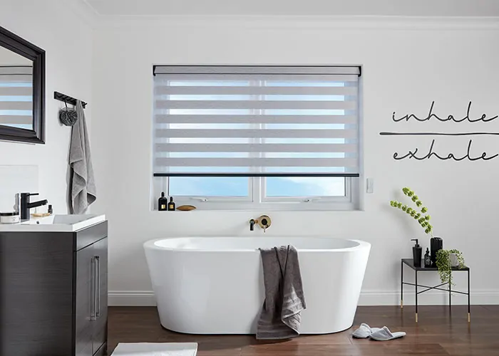 bathroom blinds